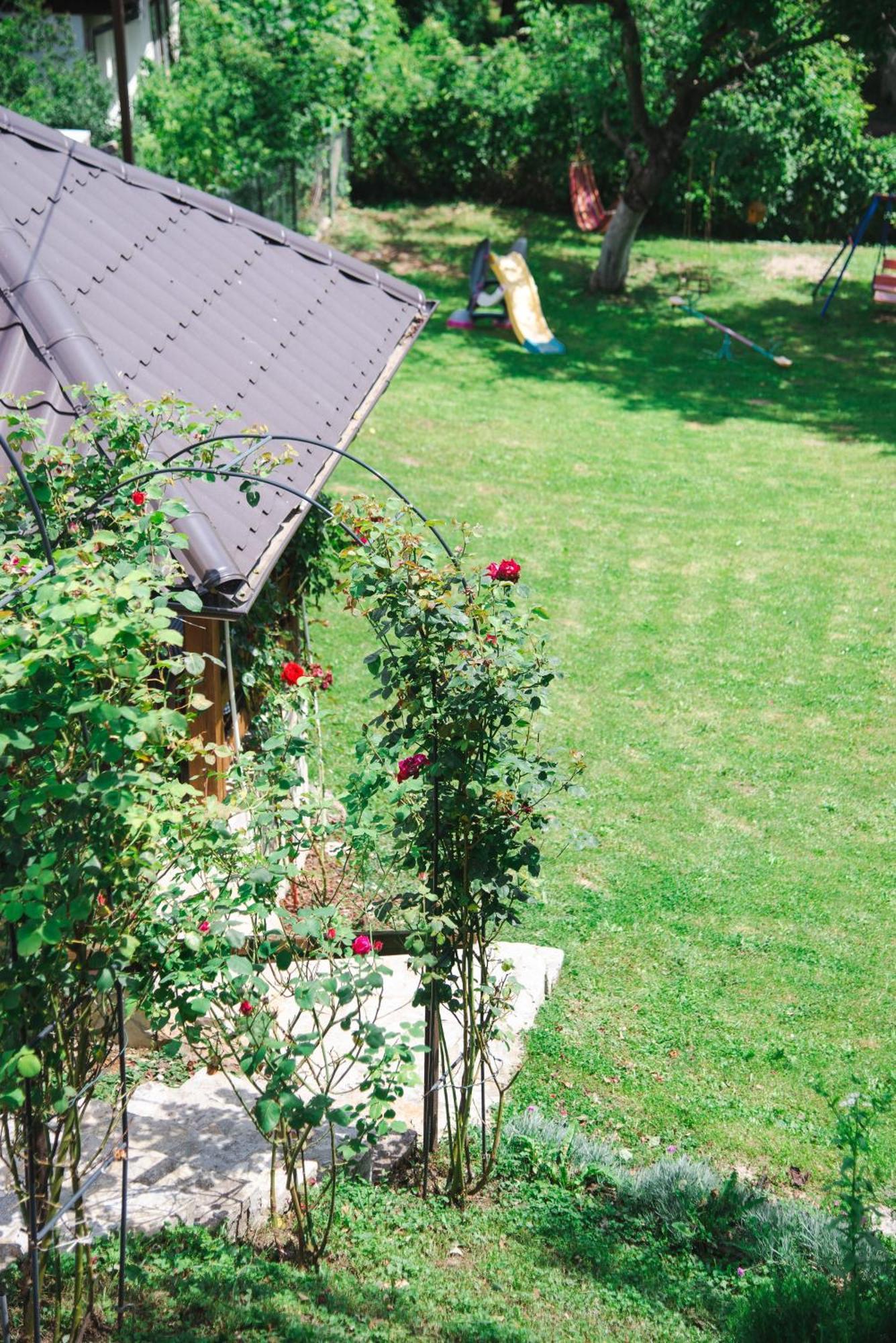 Apartmani Maslacak Vrdnik Extérieur photo
