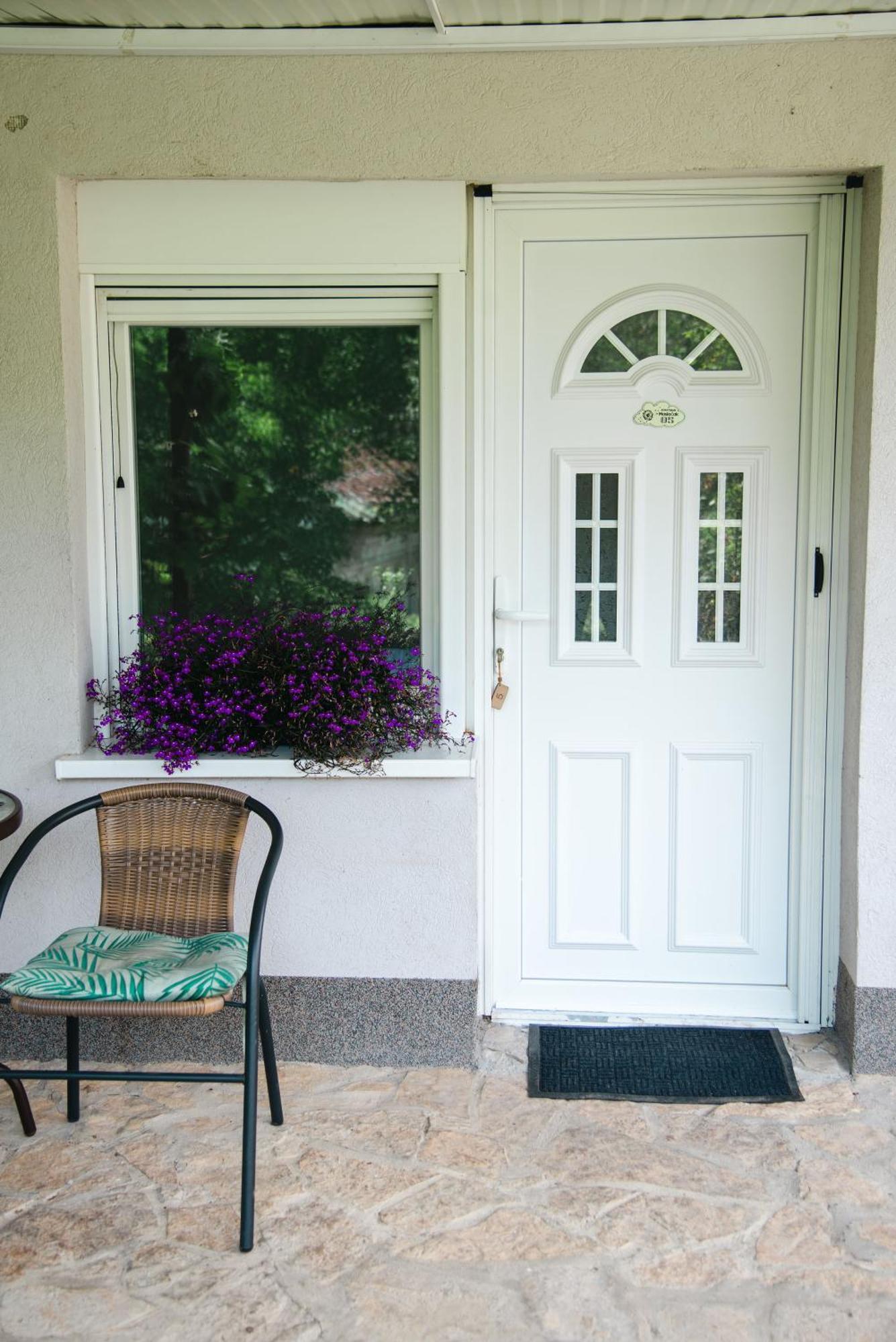 Apartmani Maslacak Vrdnik Extérieur photo