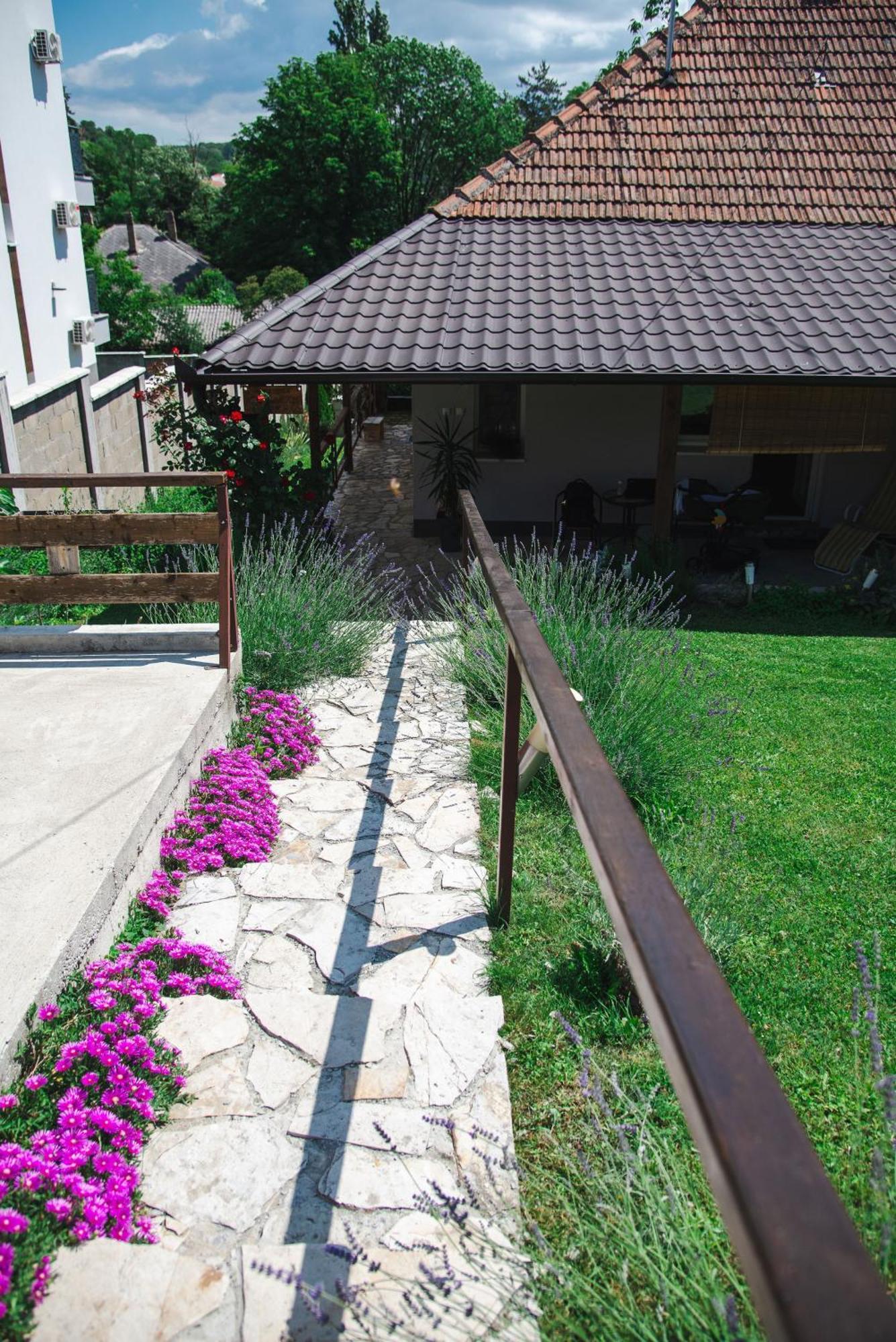 Apartmani Maslacak Vrdnik Extérieur photo